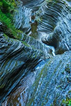 A small river flows through a rocky gorge studded with bluish-gray rocks an.. Фото