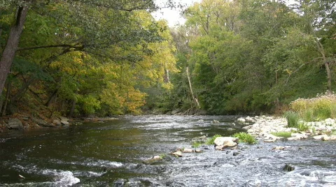 Small river Video stock 877630