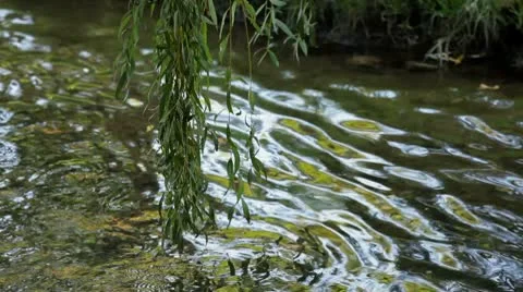 Small river Stock Footage 8909298