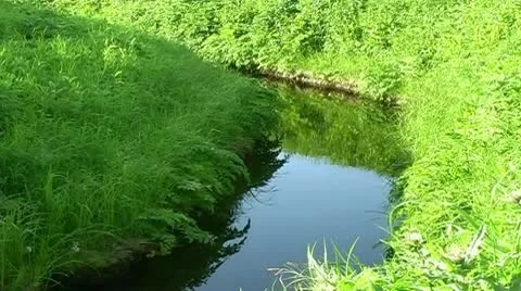 A small river Stock Footage 9026911