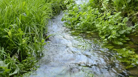 Small  river Stock Footage 23196353