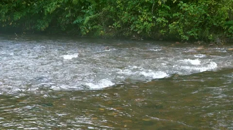 Small river Stock Footage 37547288