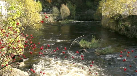 Small river. Video stock 43872897