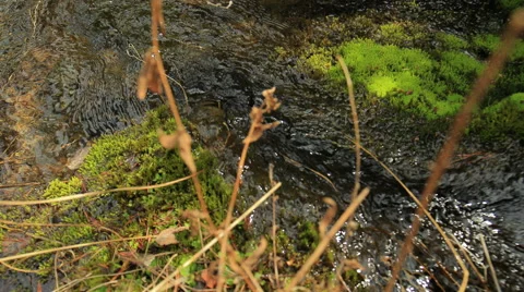 Small river Stock Footage 54104045