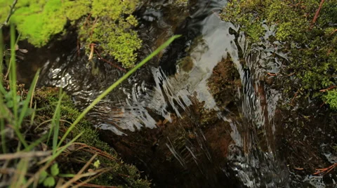 Small river Stock Footage 54104277