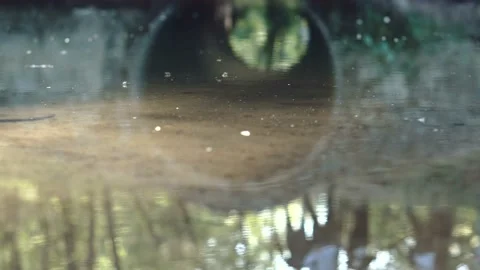 The small river Stock-Footage 110363136