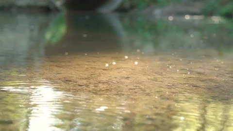The small river Stock-Footage 110363241