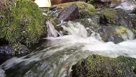 Small river 動画素材 160221405