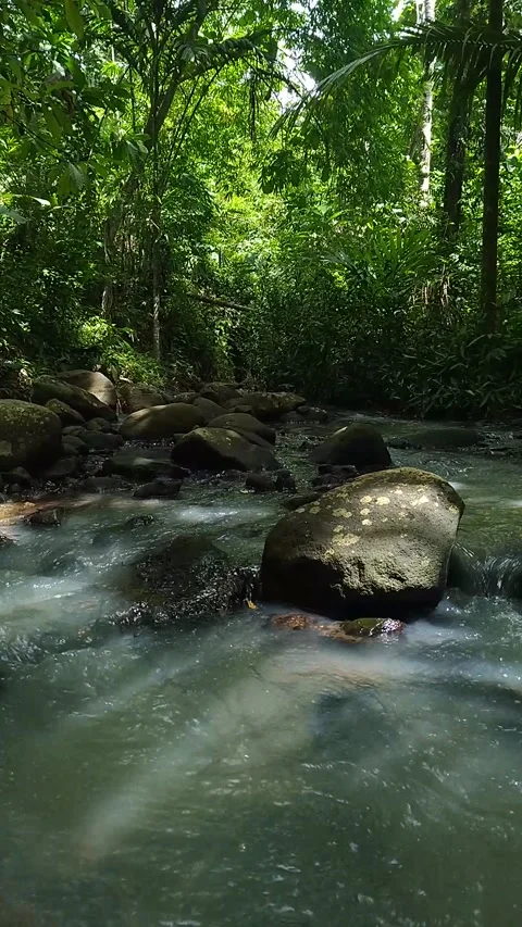 Small River Stock Footage