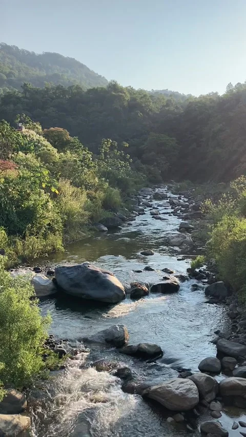Small river. 库存影片 178362053