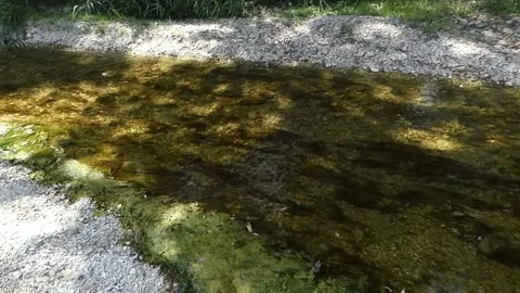 Small river Stock Footage 201047655