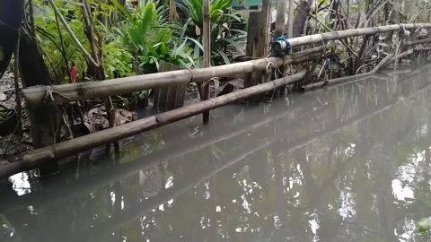 Small river Stock Footage 233354114