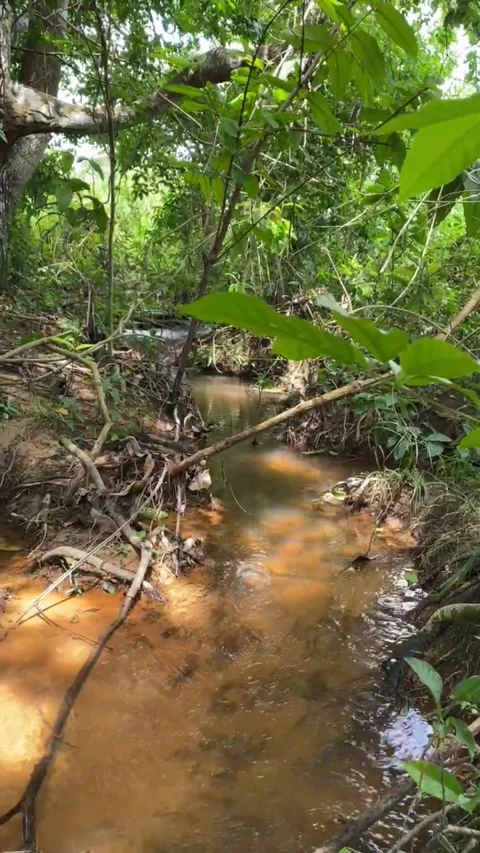 A small river Video stock 234224796