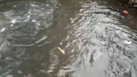 THE SMALL RIVER Stock Footage 255868175