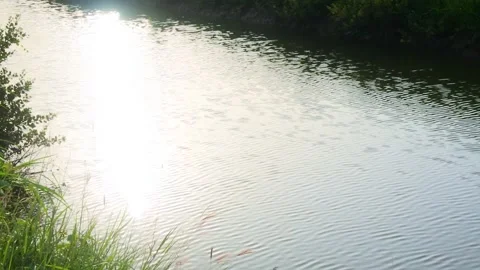 Small river Stock-Footage 298915070