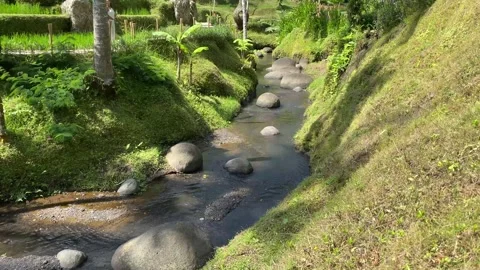 A SMALL RIVER Stock Footage 302328287