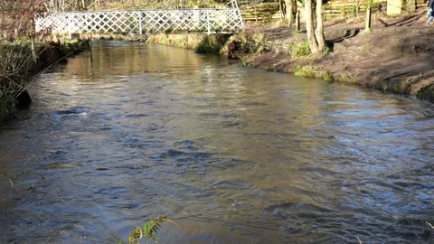 Small river footbridge Stock Footage 151416828