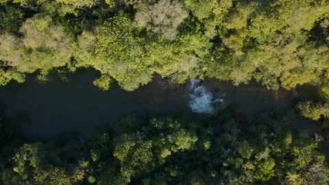 Small River in Forest. Aerial Top View Stock Footage 208892827