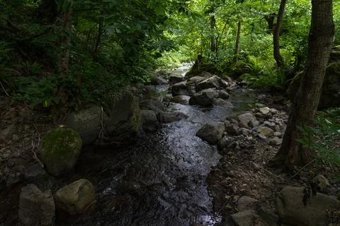 A small river in the forest between the stones, Georgia Stock Photos