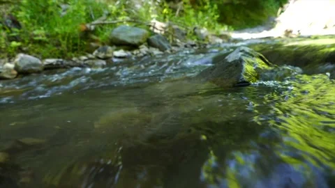 A small river in the forest. Close up view Stock Footage 189800122