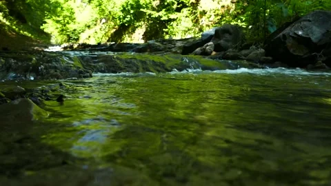 A small river in the forest. Close up view Stock Footage 189800518