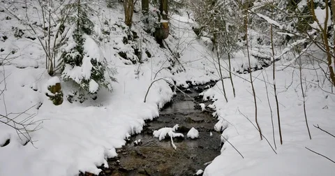 Small river in the forest completely covered in snow. Stock-Footage 84150757