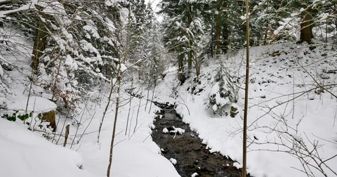 Small river in the forest completely covered in snow. Vidéo 84150837