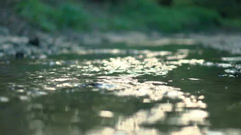 Small river in the forest Stock-Footage 107602098