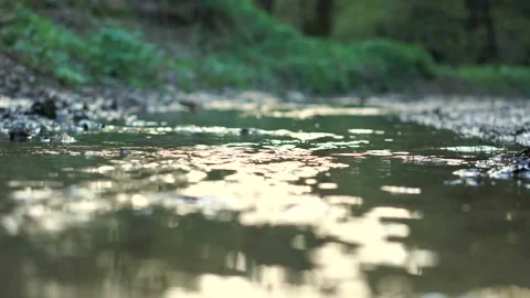 Small river in the forest Stock-Footage 107602155