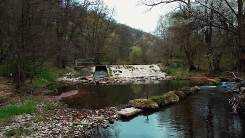 A small river in the forest 動画素材 154337271