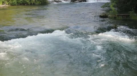 Small river in the Forest, Niagara Falls Stock Footage 11424135