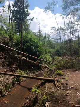 This is a small river in the forest. Stock Photos