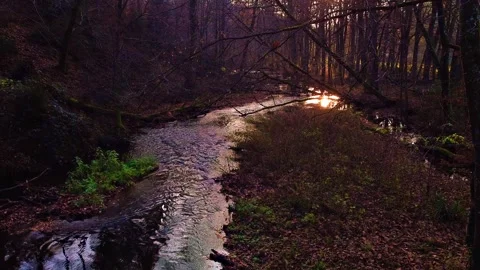 Small river in a forest with reflexions on the water Stock Footage 143929837