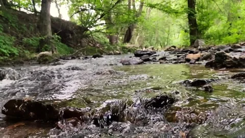 Small river in the forest slow motion Video stock 155253241