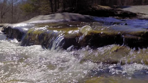 Small River in forest of Southern Illinois Stockbeeldmateriaal 235862665