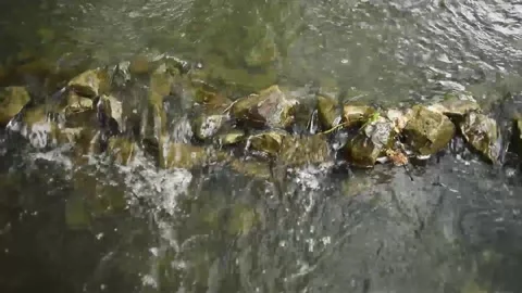 Small river in the forest with stones Stock Footage 130198323