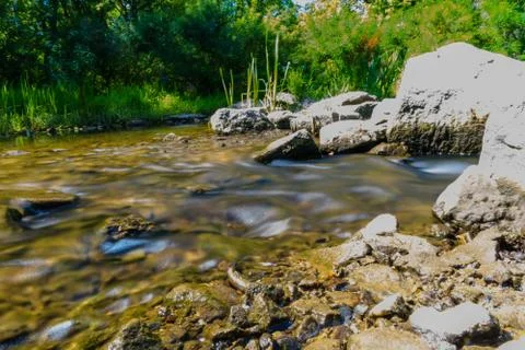 Small river in a forest on summer Stock Photos