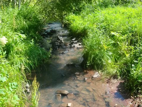 A small river in the forest of the tract is a small boron in Hakkasia. Stock Photos