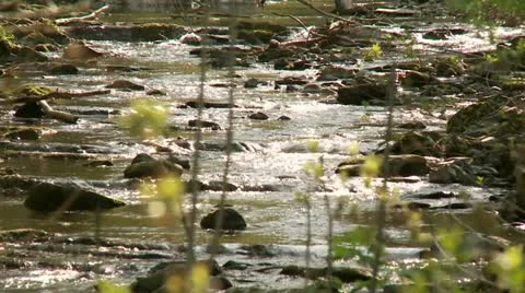 Small River in Germany Video stock 10872584