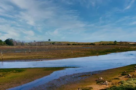 Small river in the grassland Stock Photos