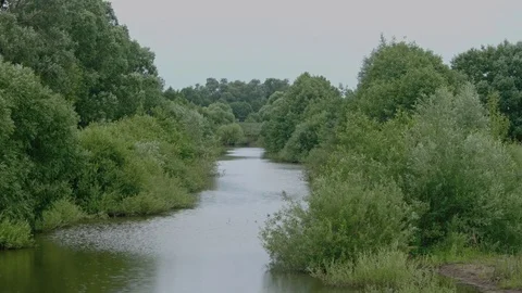 A SMALL RIVER, A GREEN SUMMER Stock Footage 73778118