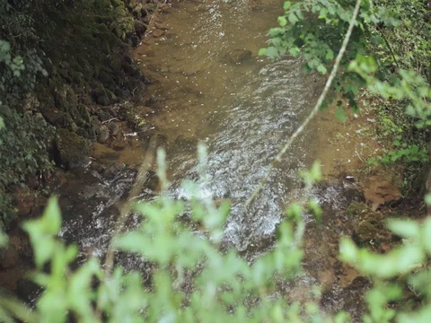 Small river hidden under the trees Stock Footage 76905584