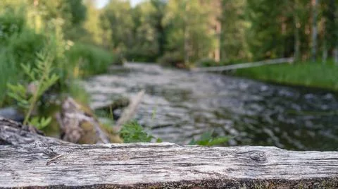 A small river in a humid dense forest on a sunny day. Between the banks there Stock Photos