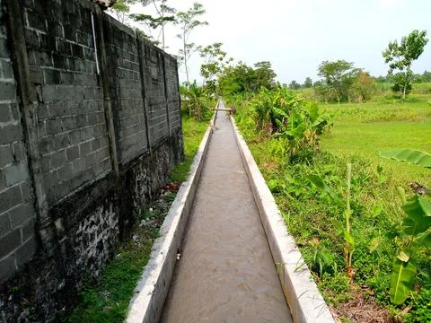 Small river for irrigating rice fields Stock Photos