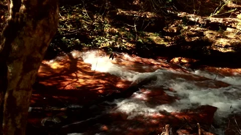 The small river known as Rio dos Goianos in Brazil Stock Footage 241348329