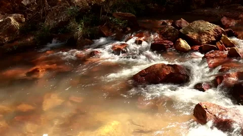 The small river known as Rio dos Goianos in Brazil Stock Footage 241349186