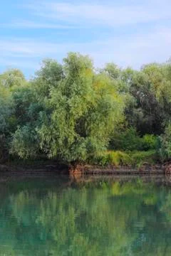 Small river a landscape Stock Photos