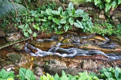 Small river long exposure Stock Photos