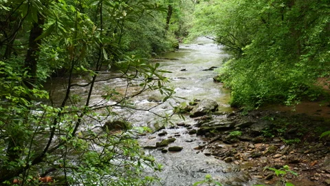 Small river in lush green mountains Stock-Footage 275834191