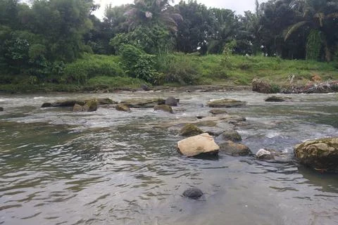 Small river with many stones Foto stock